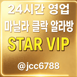 STAR VIP 업체 광고